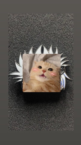 Black Nickel Cat Meme pin